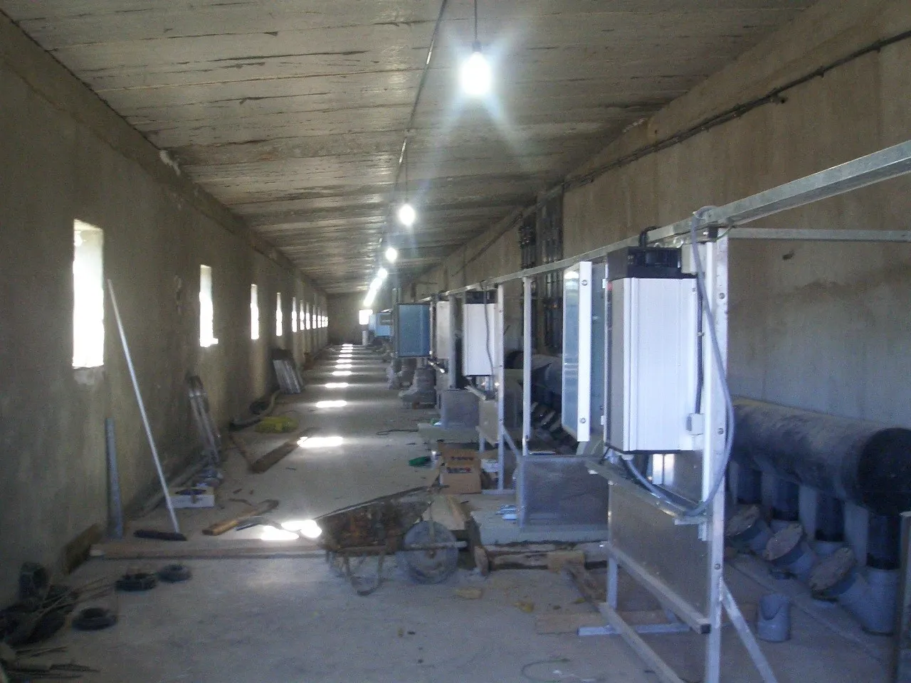 TBN International growing racks — wide view across the hall