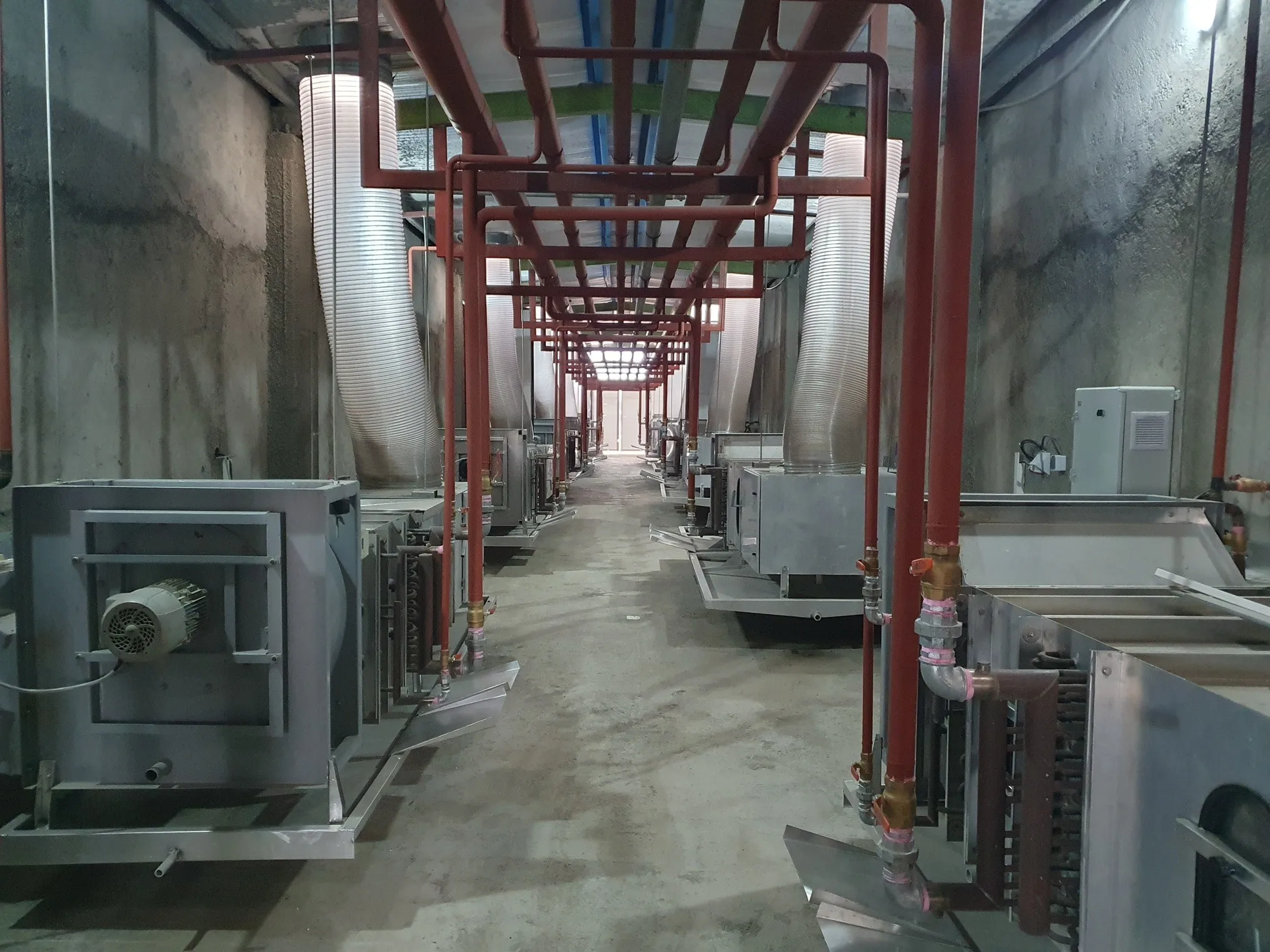 TBN International growing racks — wide view across the hall